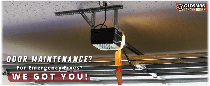 Garage Door Maintenance Oldsmar FL